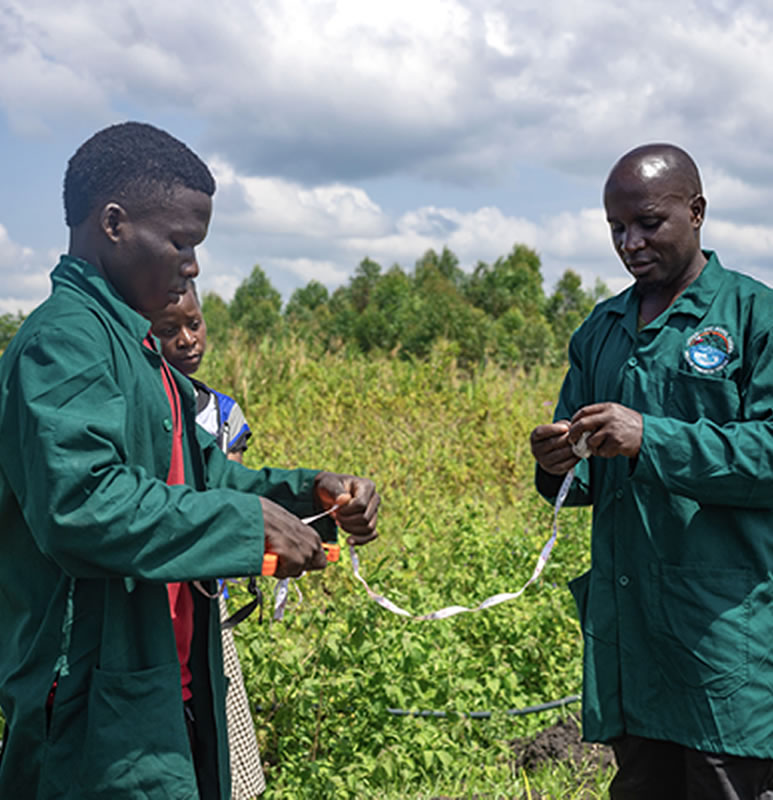 crop husbandry